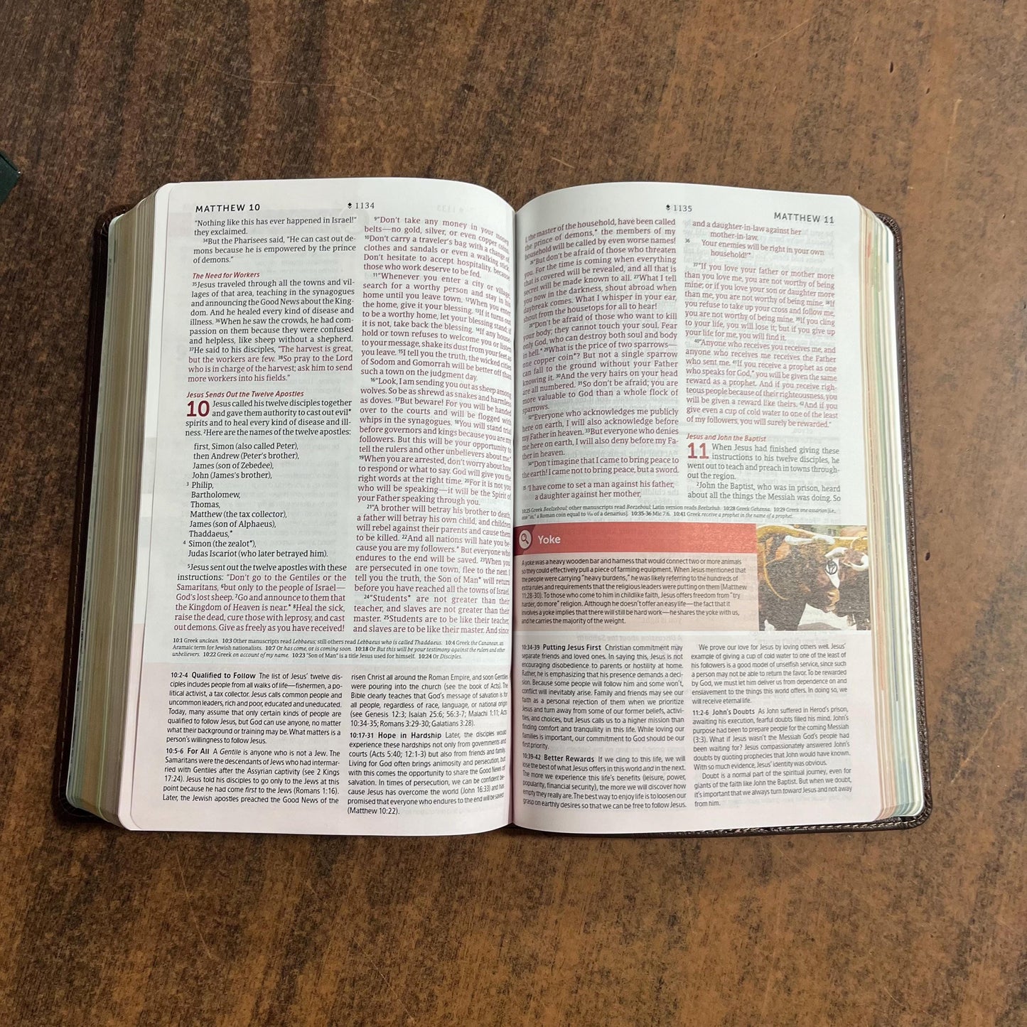 Personalized NLT Student Life Application Study Bible - Brown LeatherLike, ISBN 9781496489869 Teen bible personalized with embossed name
