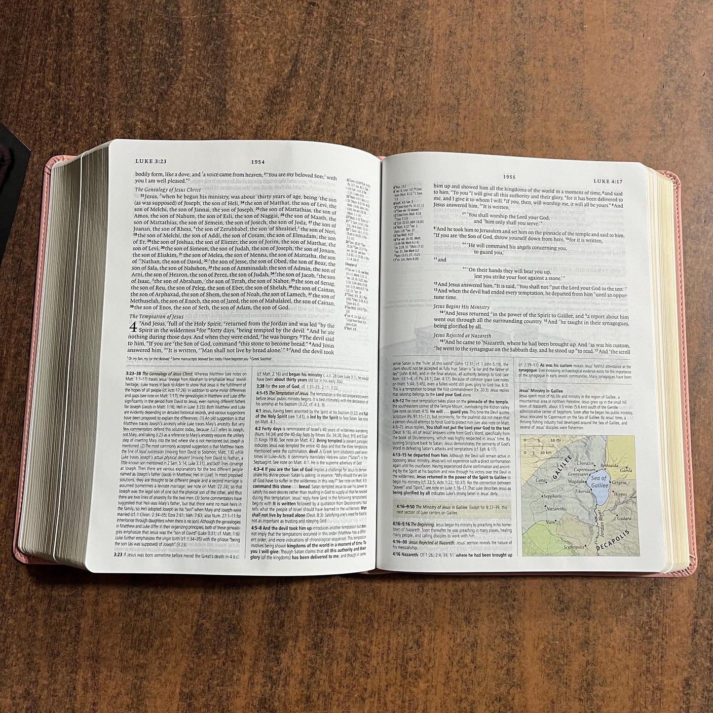 Personalized ESV Study Bible - Blush Rose (Pink) Trutone ** Custom Imprinted with name engraved 9798874902681