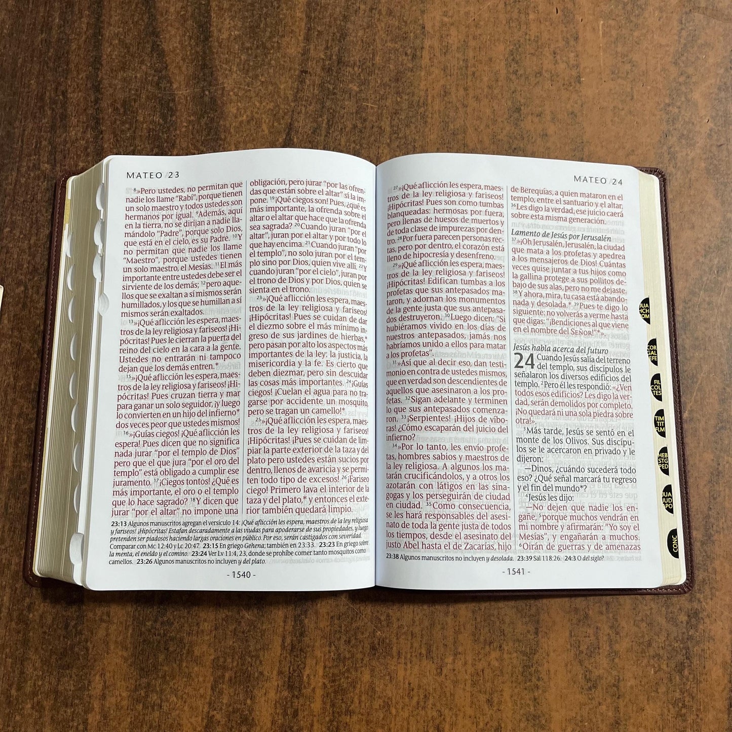 Personalized Spanish Bible Thumb Indexed - NTV Biblia Letra Super Gigante - Giant Print Bible - Dark Brown LeatherLike 9781496484963