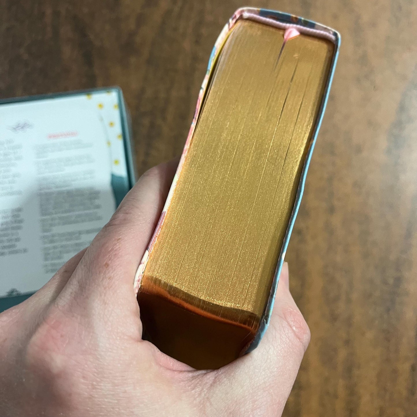 Personalized NIV True Images Study Bible for Teen Girls - Turquoise / Gold LeatherSoft - Custom Imprinted with a name, 9780310080046