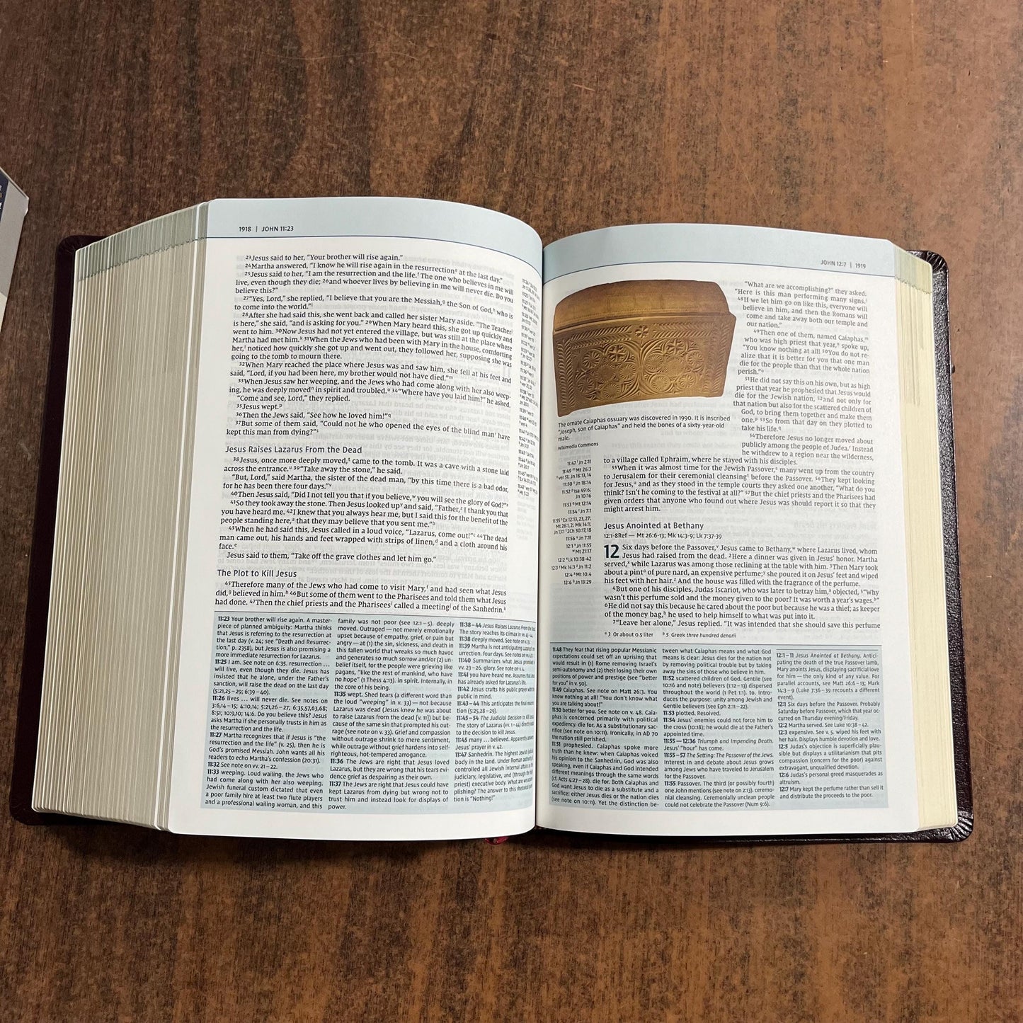 Personalized NIV Biblical Theology Study Bible - Burgundy Bonded Leather - Custom Imprinted with a name, D A Carson, ISBN 9780310450559