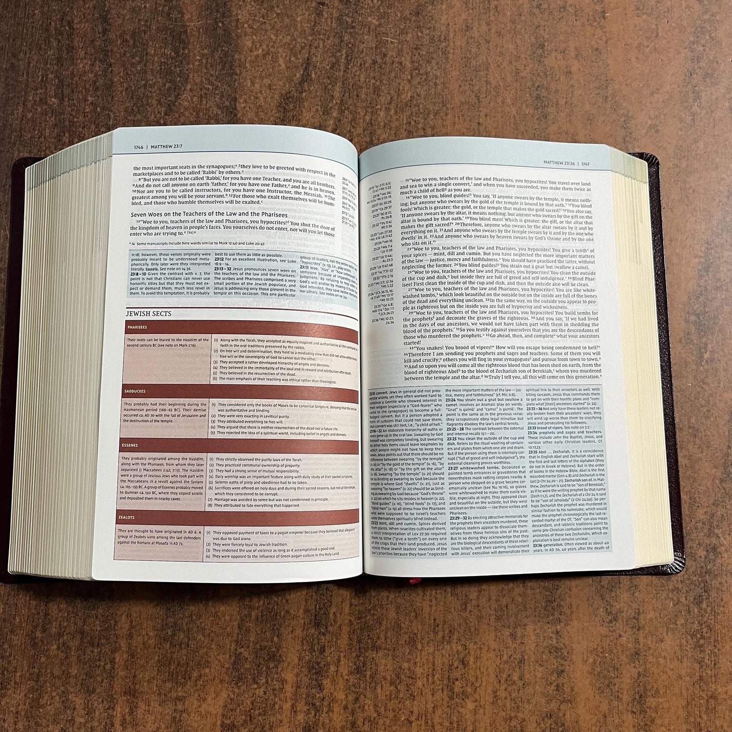 Personalized NIV Biblical Theology Study Bible - Burgundy Bonded Leather - Custom Imprinted with a name, D A Carson, ISBN 9780310450559