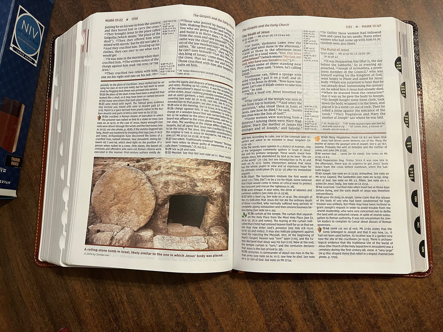 Personalized NIV Large Print Study Bible Thumb Indexed with book tabs, Brown LeatherSoft, Custom Imprinted with a name, 9780310449195
