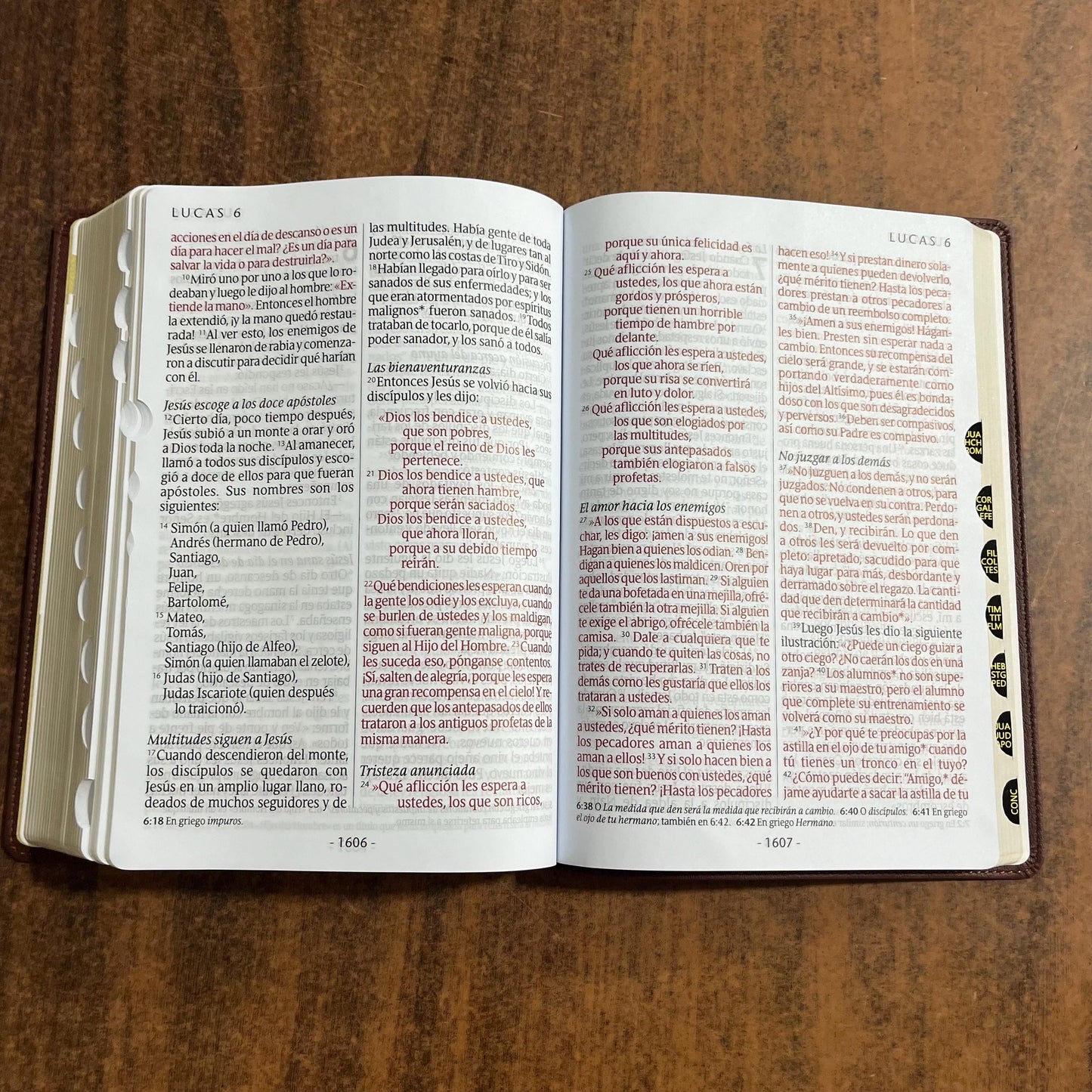 Personalized Spanish Bible Thumb Indexed - NTV Biblia Letra Super Gigante - Giant Print Bible - Dark Brown LeatherLike 9781496484963