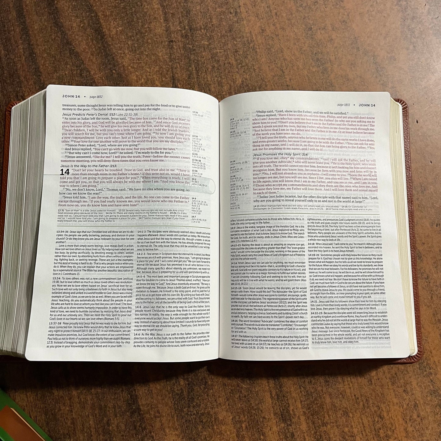 Personalized NLT Life Application Study Bible - Brown Genuine Leather - Custom Imprinted with a name, New Living Translation 9781496479020