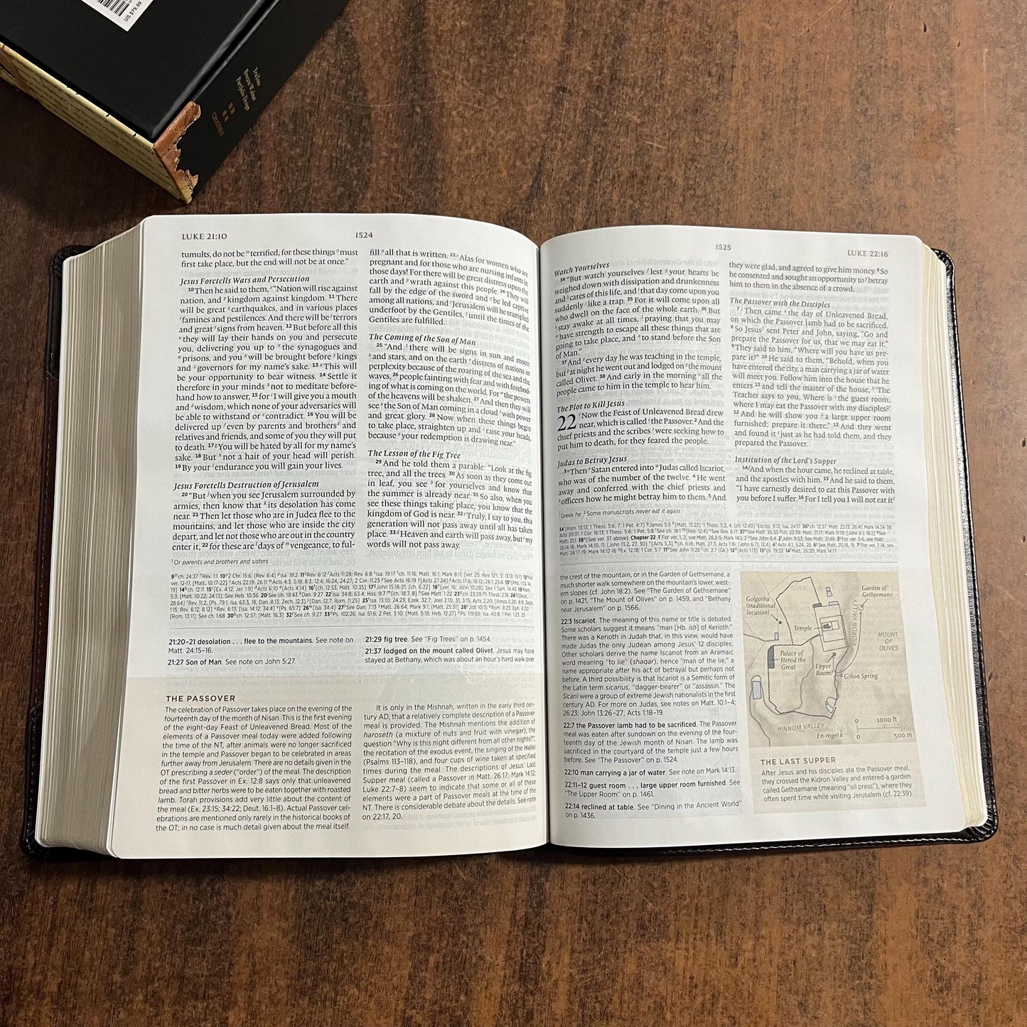 Personalized ESV Archaeology Study Bible - Brown / Walnut TruTone, Custom Imprinted with name, 16spaces ISBN 9781433595745