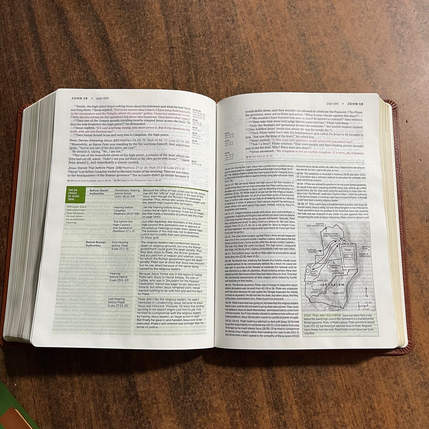 Personalized NLT Life Application Study Bible - Brown Genuine Leather - Custom Imprinted with a name, New Living Translation 9781496479020