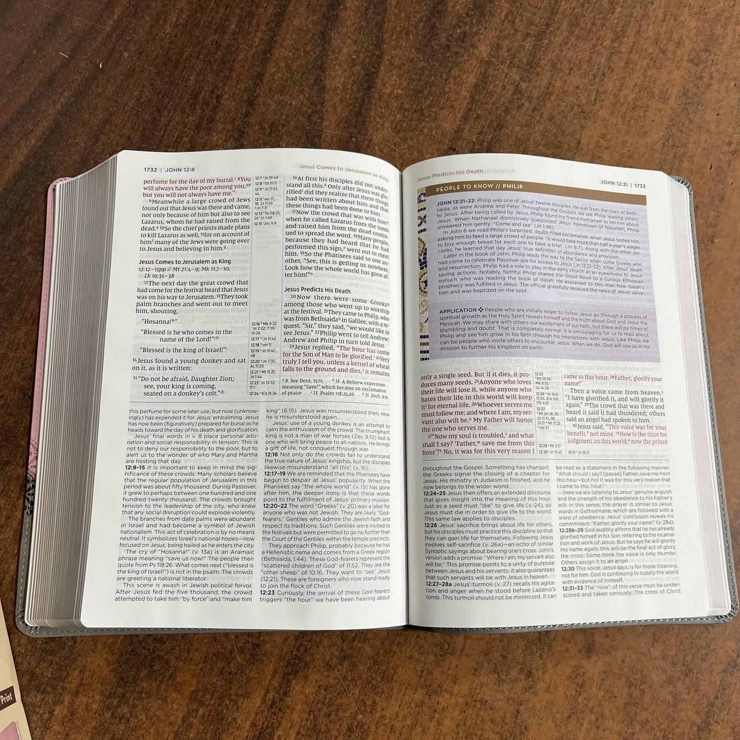 Personalized NIV Large Print Life Application Study Bible - Pink / Gray LeatherSoft, Custom Imprinted with a name, 9780310465331