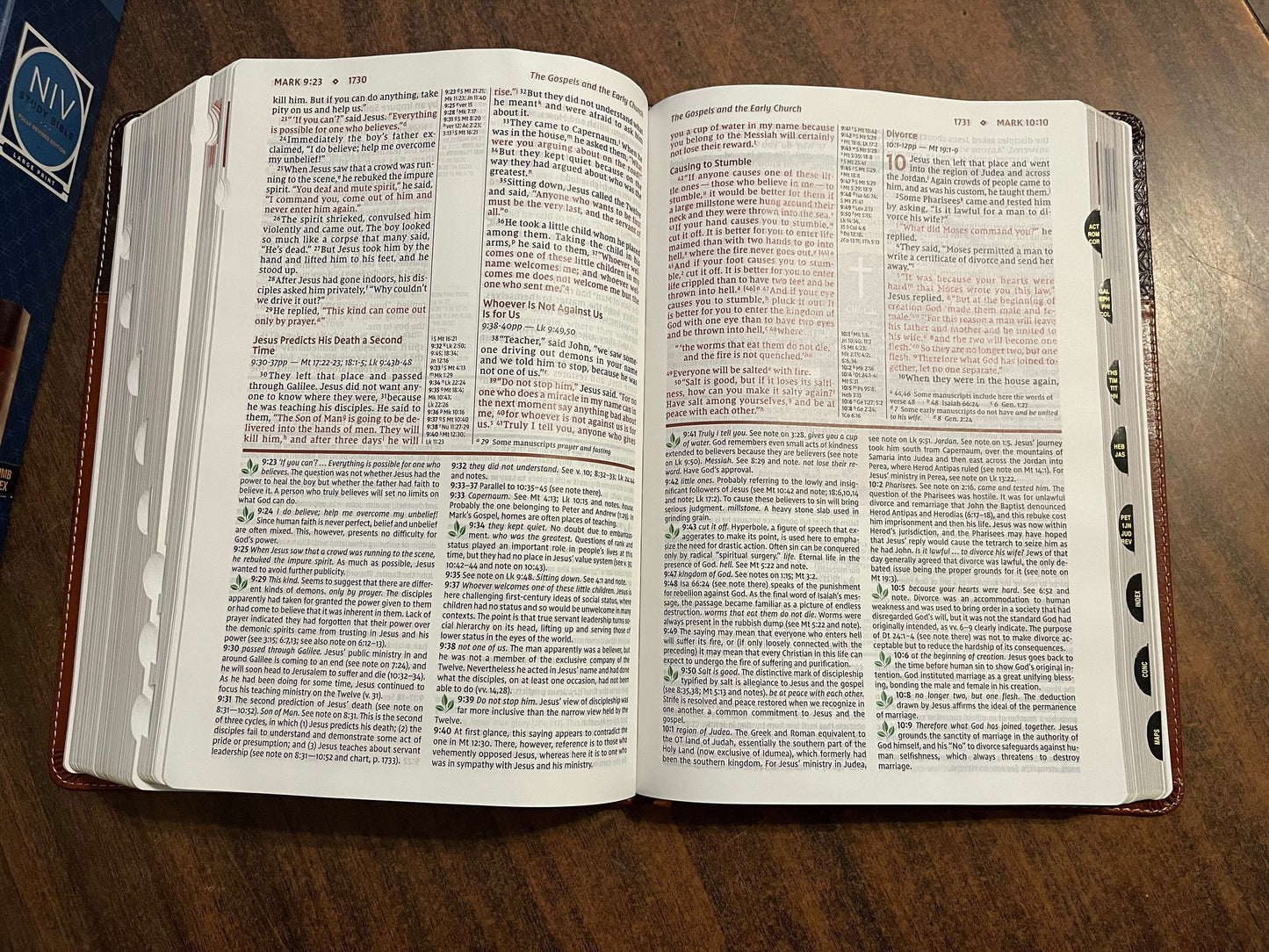 Personalized NIV Large Print Study Bible Thumb Indexed with book tabs, Brown LeatherSoft, Custom Imprinted with a name, 9780310449195