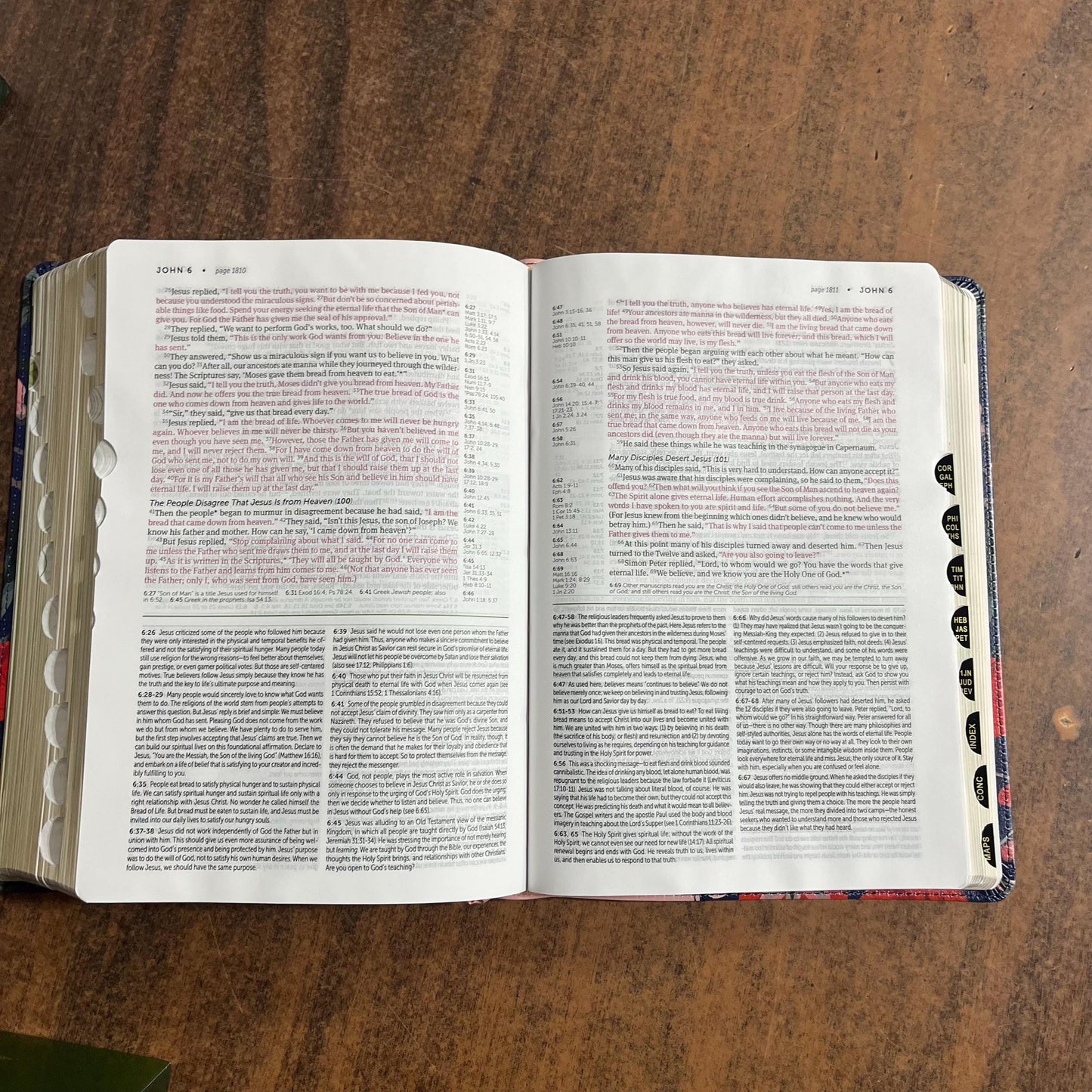 Personalized NLT Life Application Study Bible Thumb Indexed -Pink Evening Bloom LeatherLike - Custom Imprinted with name, 9781496478993