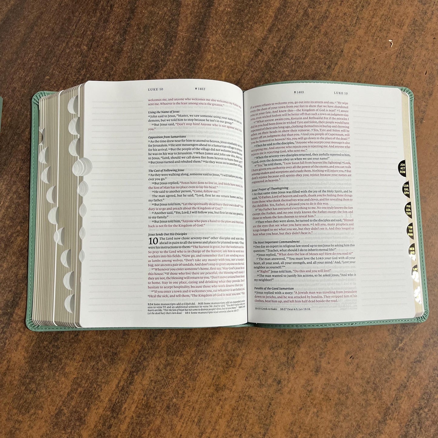 Personalized NLT Wide Margin Bible Thumb Indexed Journaling Edition - Sage Green LeatherLike, Palm - Imprinted name, Single 9798400506925