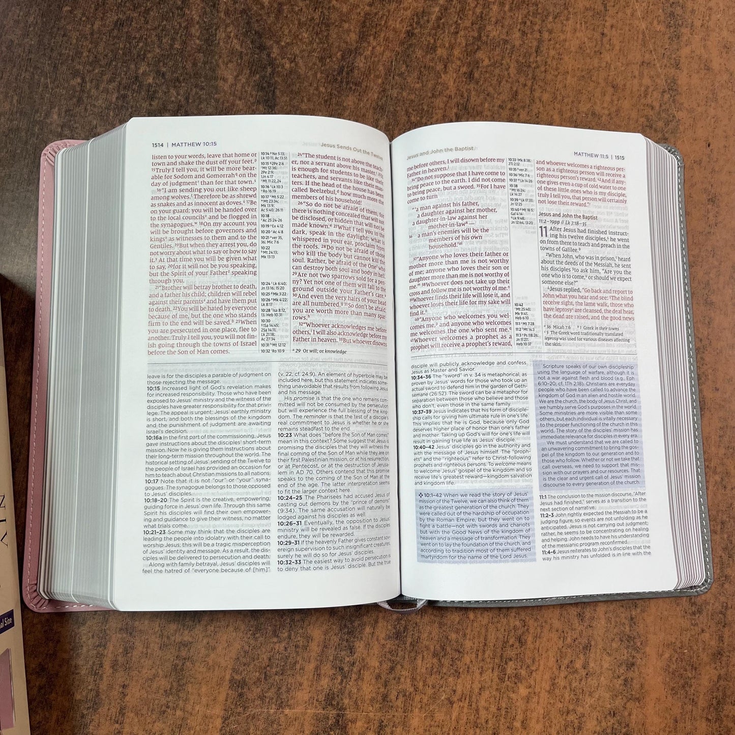 Personalized NIV Personal Size Application Study Bible - Pink / Gray LeatherSoft - Custom Imprinted name 9780310465263 (Update to Life Application Bible)