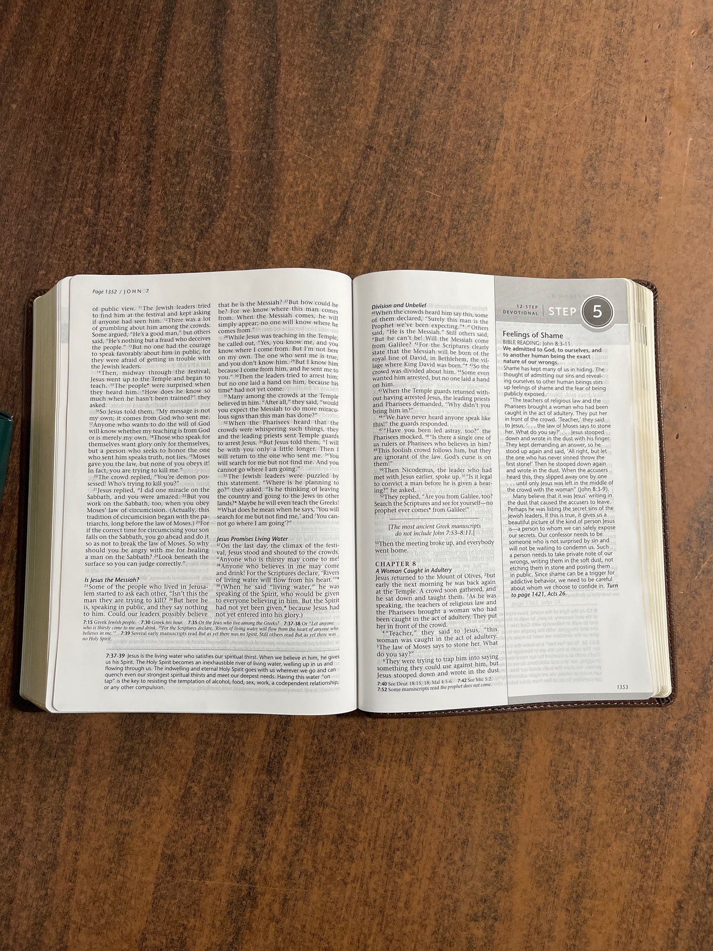 Personalized NLT Life Recovery Bible - Rustic Brown LeatherLike - Custom Imprinted with name ISBN 9781496450173