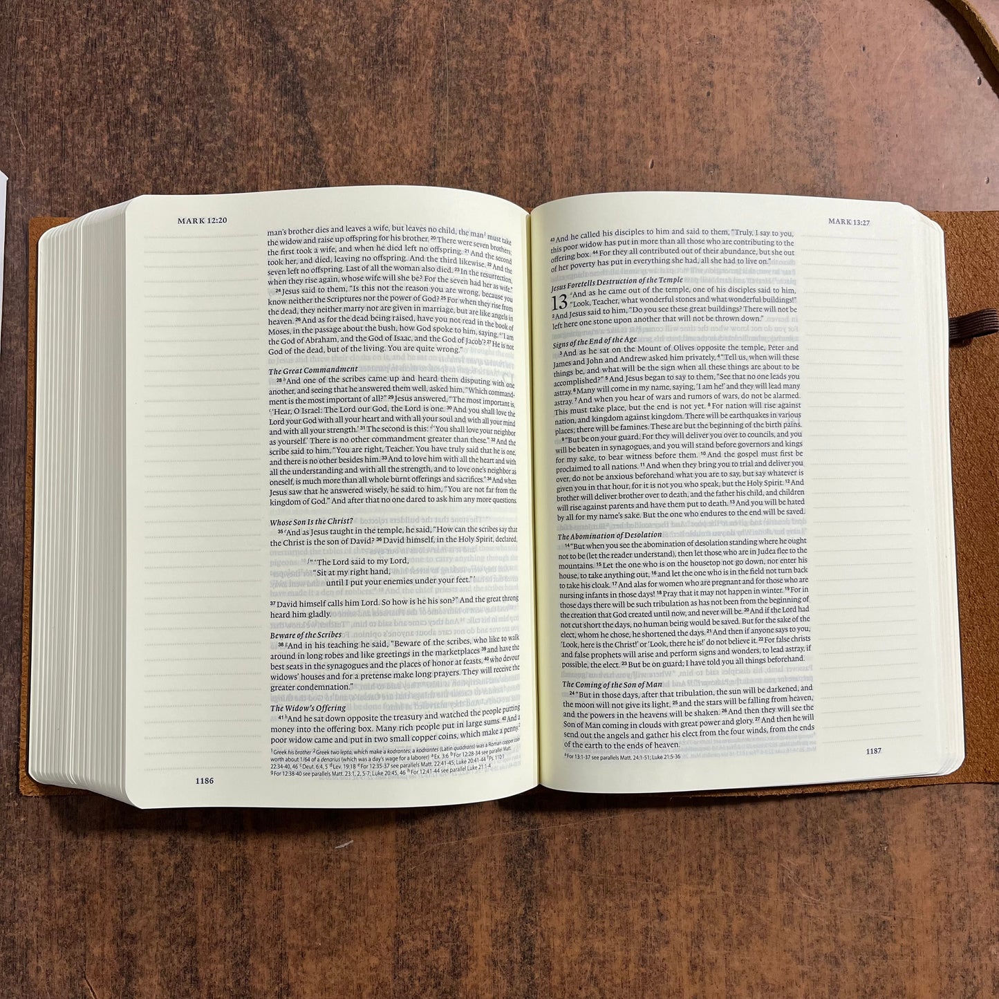 Personalized ESV Journaling Bible, Single Column Text - Brown Natural Genuine Cowhide Leather with Flap and Strap, Custom Imprinted 9798874900113