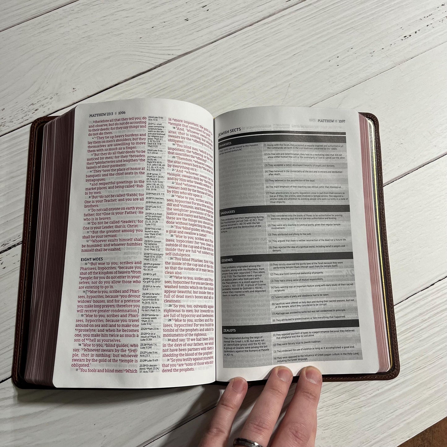 Personalized NASB Classic Reference Bible - Brown Genuine Buffalo Leather, NASB 1995, Custom Imprinted with name, ISBN 9780310456490