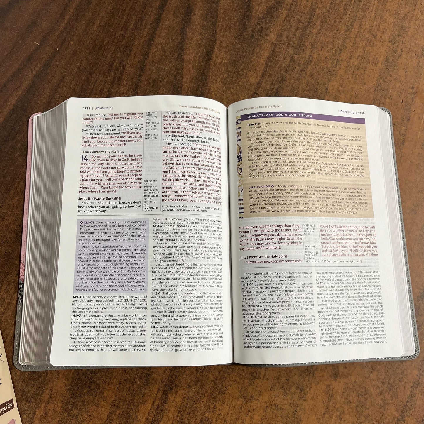 Personalized NIV Large Print Life Application Study Bible - Pink / Gray LeatherSoft, Custom Imprinted with a name, 9780310465331