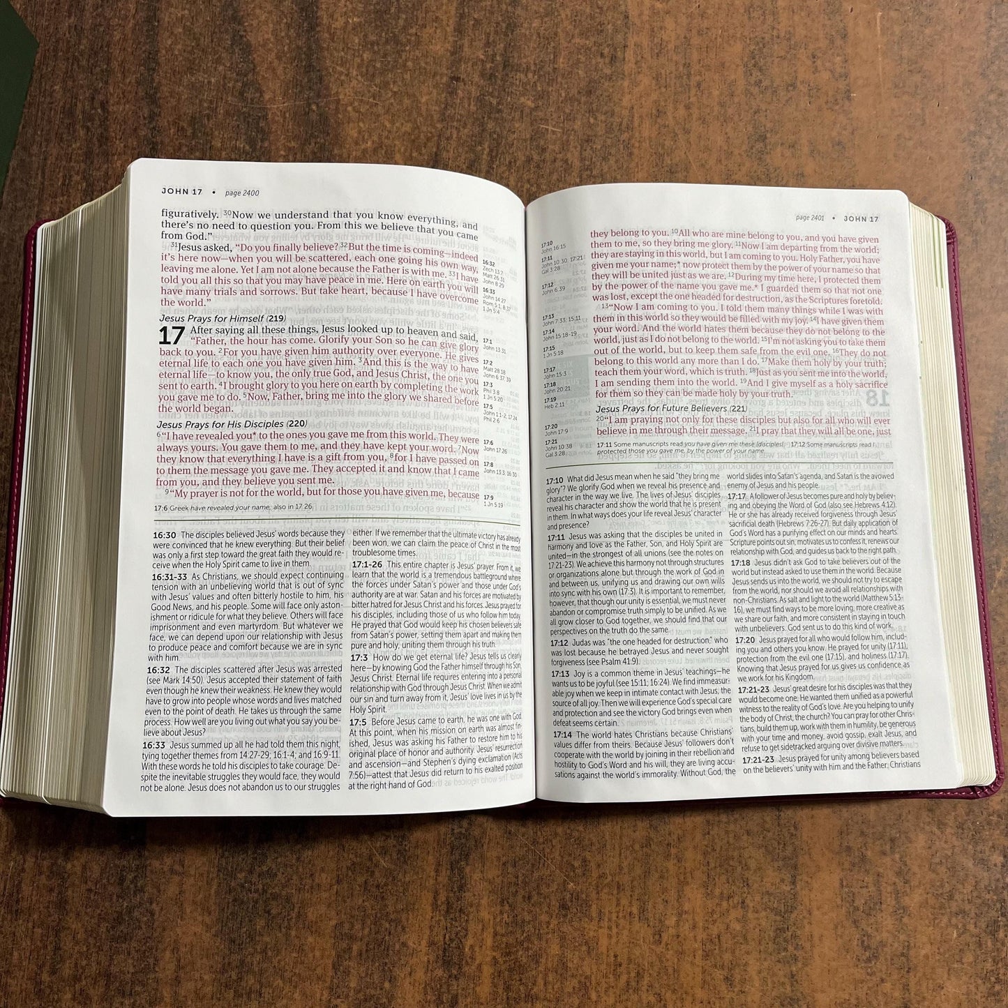 Personalized NLT Large Print Life Application Study Bible - Berry LeatherLike - Custom Imprinted name engraved, 9781496446848