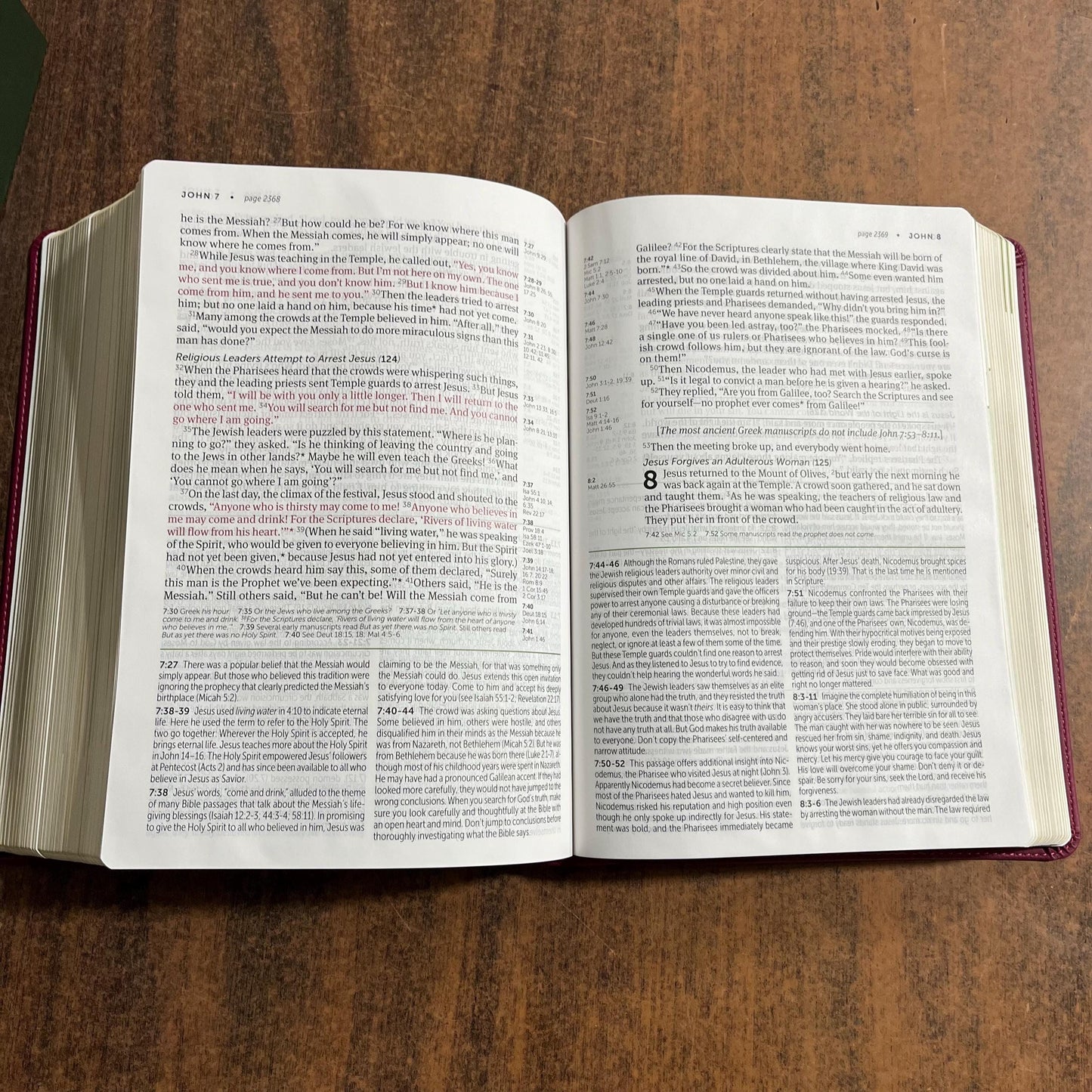 Personalized NLT Large Print Life Application Study Bible - Berry LeatherLike - Custom Imprinted name engraved, 9781496446848