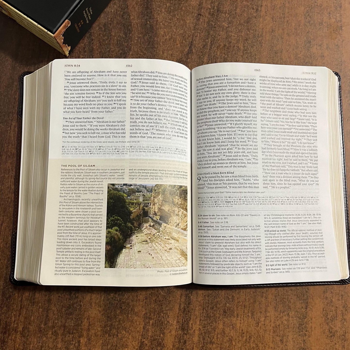 Personalized ESV Archaeology Study Bible - Brown / Walnut TruTone, Custom Imprinted with name, 16spaces ISBN 9781433595745