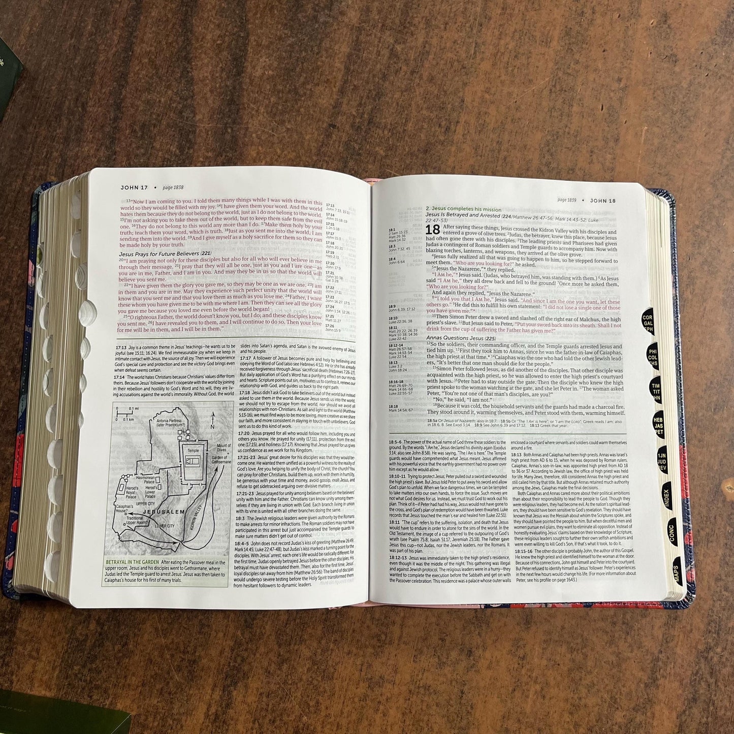 Personalized NLT Life Application Study Bible Thumb Indexed -Pink Evening Bloom LeatherLike - Custom Imprinted with name, 9781496478993