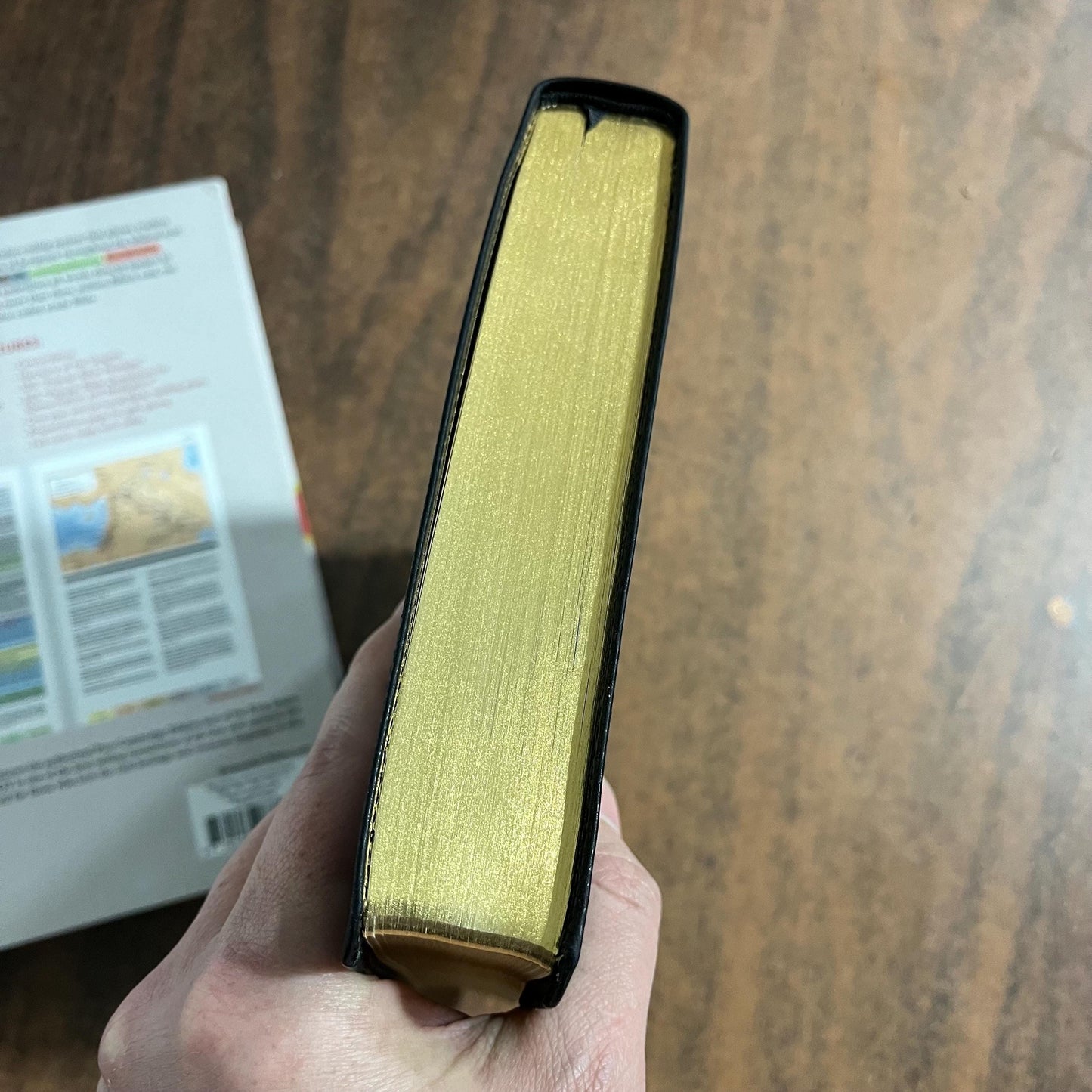 Personalized KJV Rainbow Study Bible, Black LeatherTouch, Custom Imprinted name engraved, ISBN 9781087782713