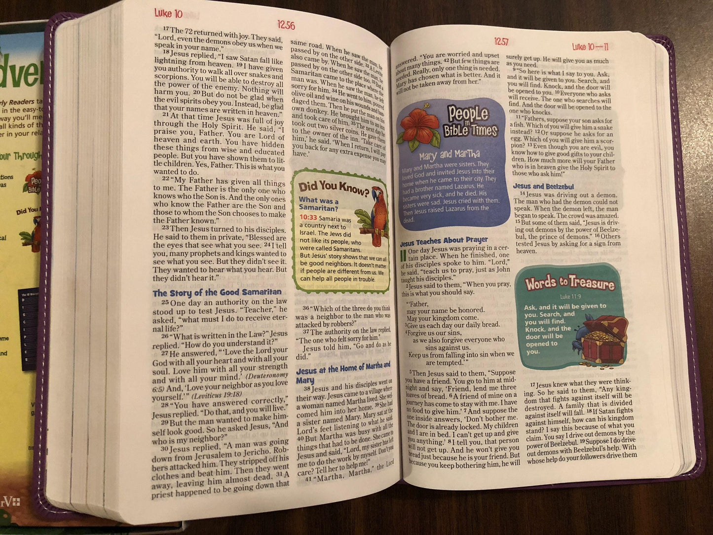 Personalized NIRV Adventure Bible For Early Readers - Purple Duotone - Custom Imprinted with a name - Ages 6-10, 9780310727446