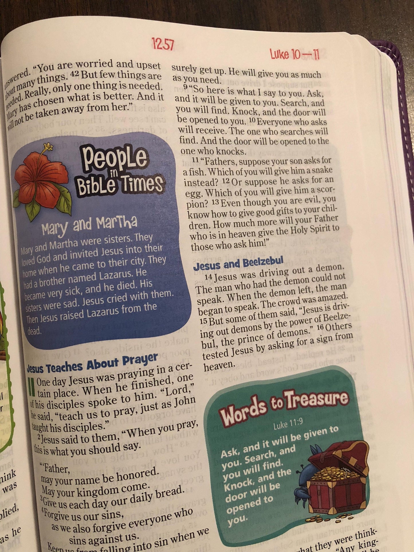 Personalized NIRV Adventure Bible For Early Readers - Purple Duotone - Custom Imprinted with a name - Ages 6-10, 9780310727446