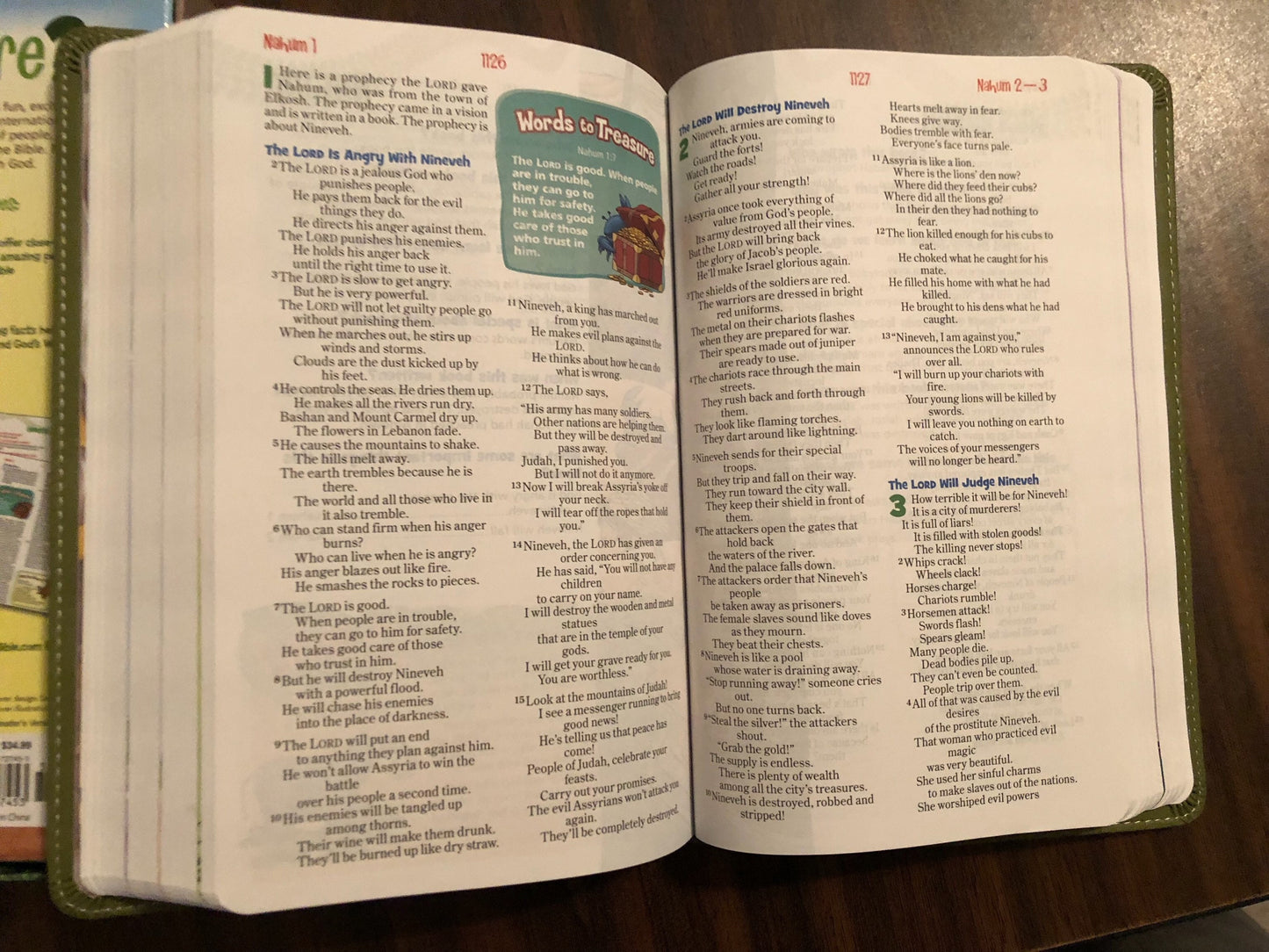 Personalized NIRV Adventure Bible For Early Readers - Green Duotone - Custom Imprinted with a name - Ages 6,7,8,9,10 - isbn 9780310727453