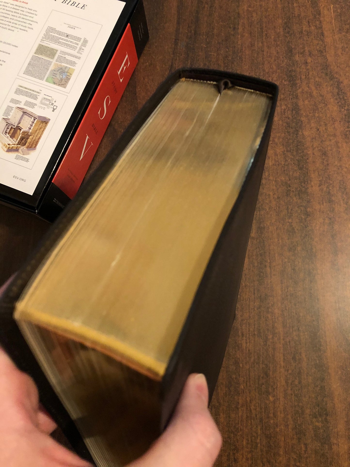 Personalized ESV Study Bible - Deep Brown Genuine Buffalo Leather - Custom Imprinted with a name 9781433575921