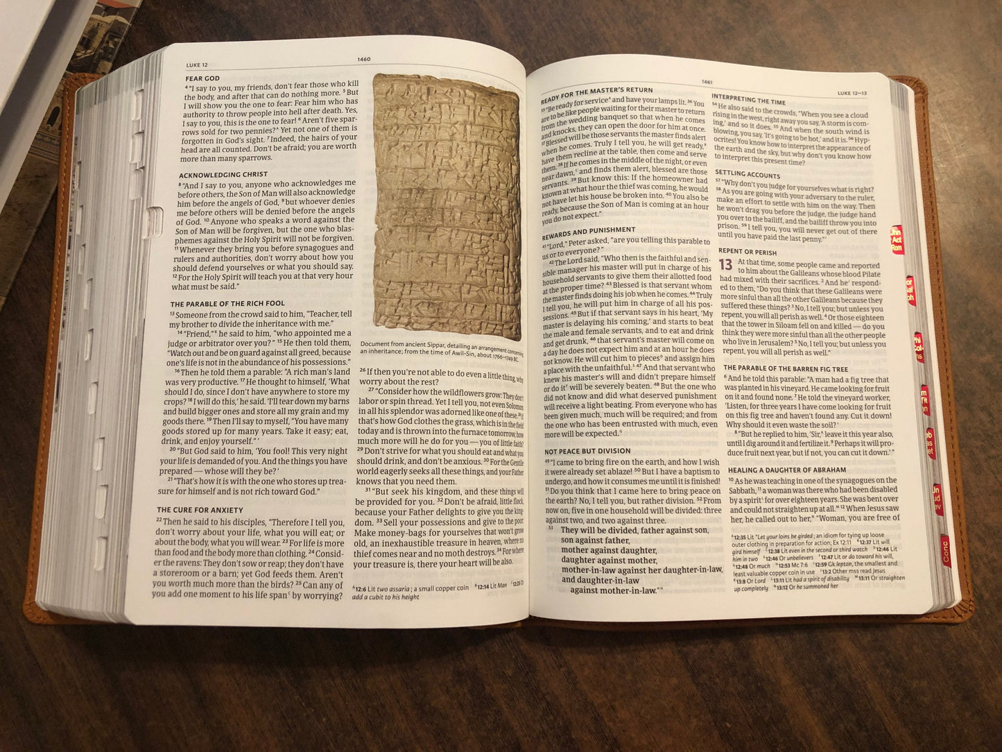 Personalized CSB Holy Land Illustrated Study Bible Thumb Indexed - Ginger Brown Leathertouch, Custom Imprinted with a name 9781430070467