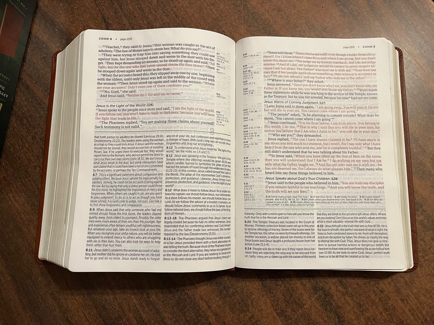 Personalized NLT Large Print Life Application Study Bible - Brown Genuine Leather - Custom Imprinted with Name 9781496446886