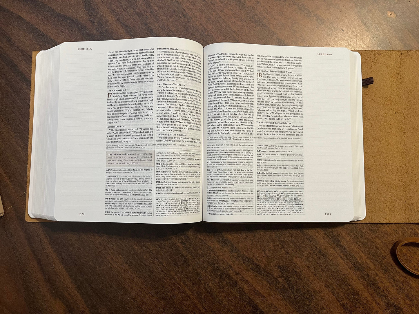 Personalized ESV Journaling Study Bible - Brown Natural Genuine Leather, Flap with Tie Strap, Custom Imprinted with name ISBN 9781433590467, 16spaces