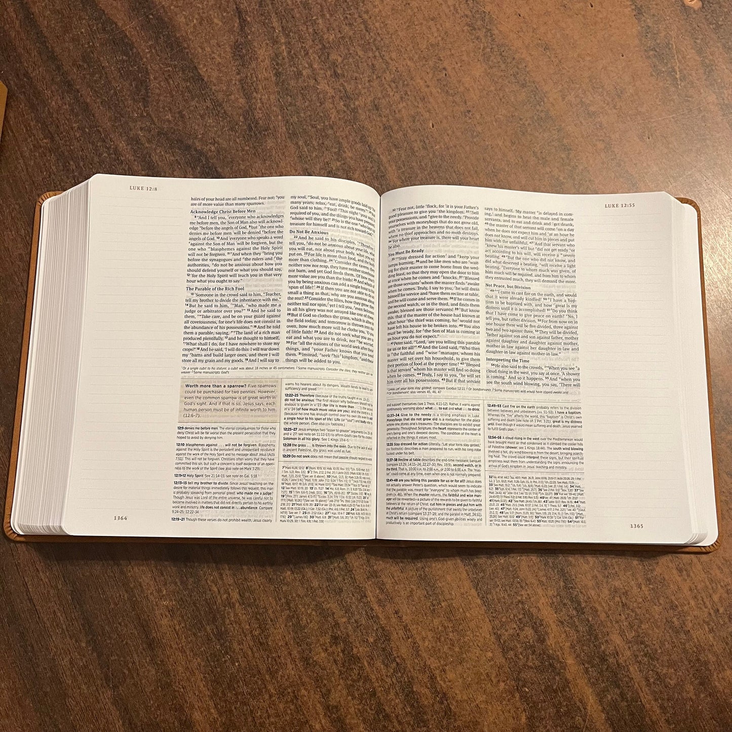 Personalized ESV Journaling Study Bible - Nubuck Caramel Brown Trutone over Board, Custom Imprinted with a name 9781433592515