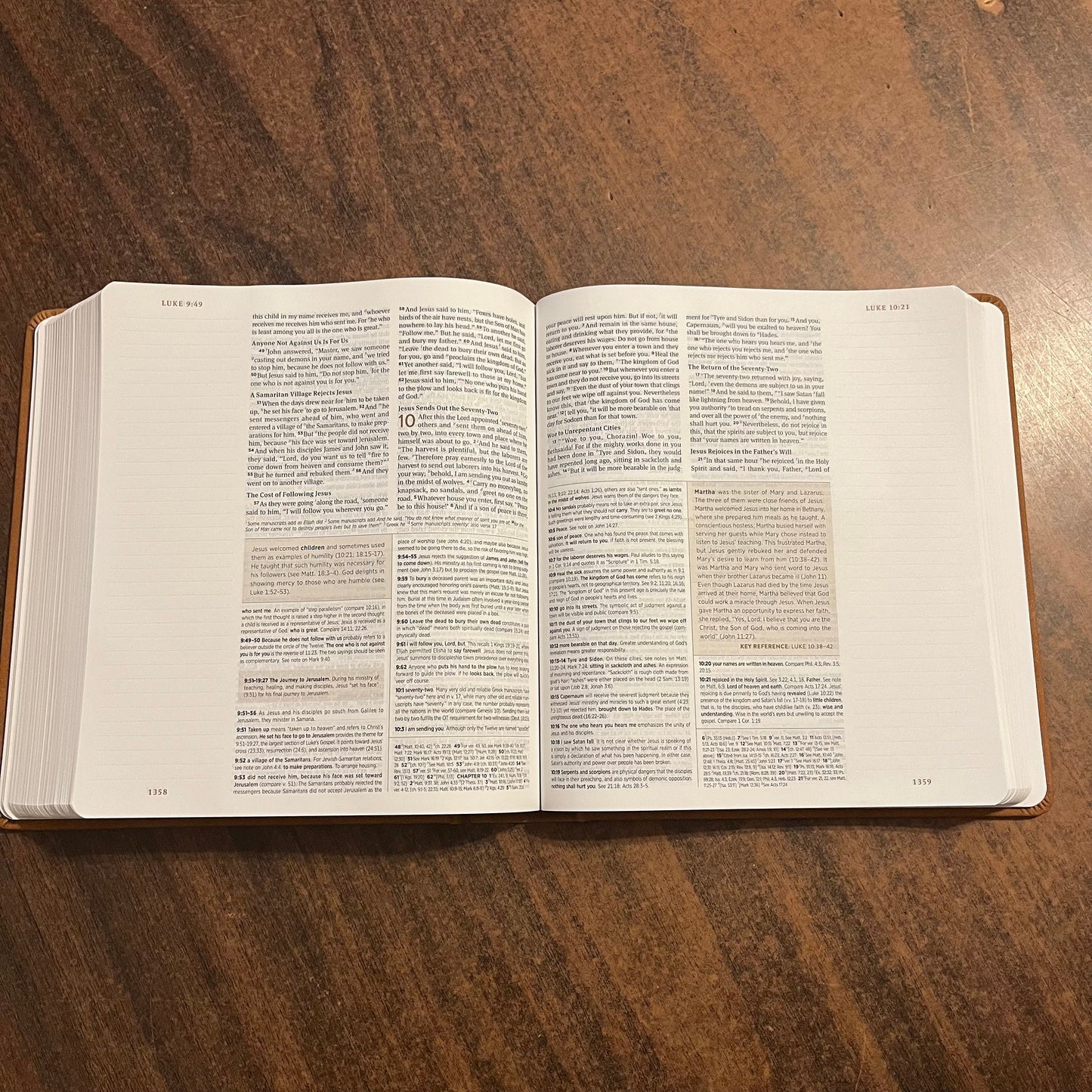 Personalized ESV Journaling Study Bible - Nubuck Caramel Brown Trutone over Board, Custom Imprinted with a name 9781433592515
