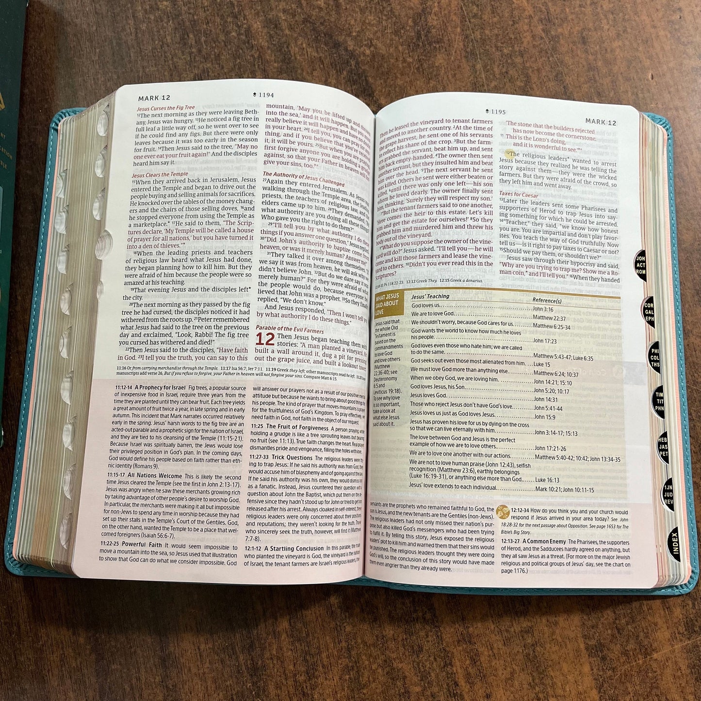 Personalized NLT Student Life Application Study Bible Thumb Indexed, Teal Blue LeatherLike, ISBN 9781496449627