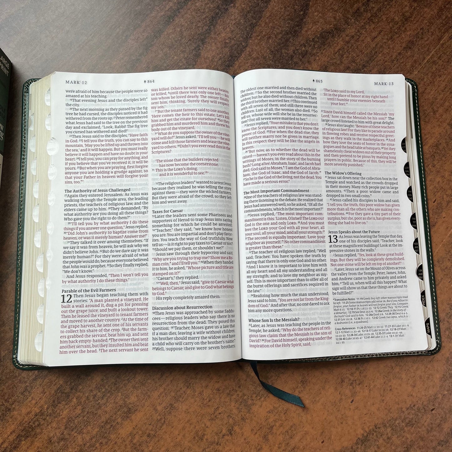 Personalized NLT Large Print Thinline Reference Bible Thumb Indexed - Evergreen Mountain LeatherLike, Custom Imprinted with Name NLT Emossed 9781496466297