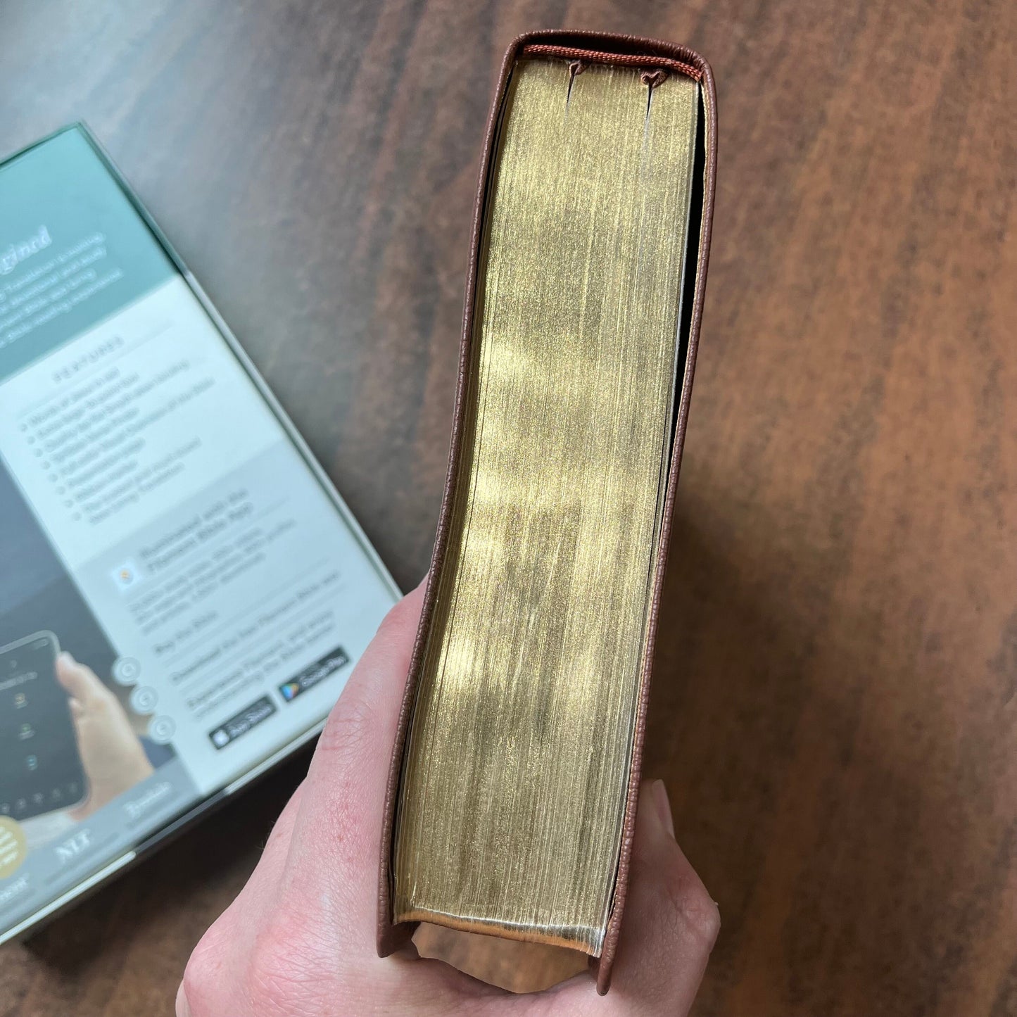 Personalized NLT Super Giant Print Bible Thumb Indexed - Brown Genuine Leather - Custom Imprinted with name, ISBN 9781496474308