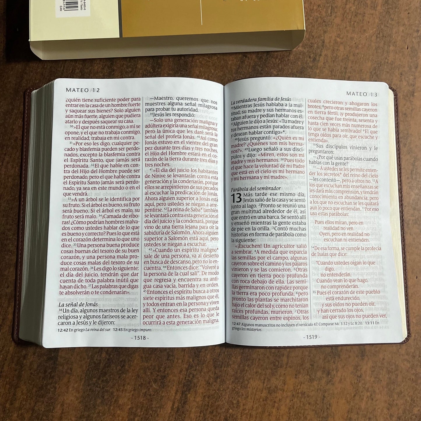 Personalized Spanish Bible - NTV Biblia Letra Super Gigante - Giant Print Bible - Dark Brown LeatherLike - Custom Imprinted with name 9781496484956