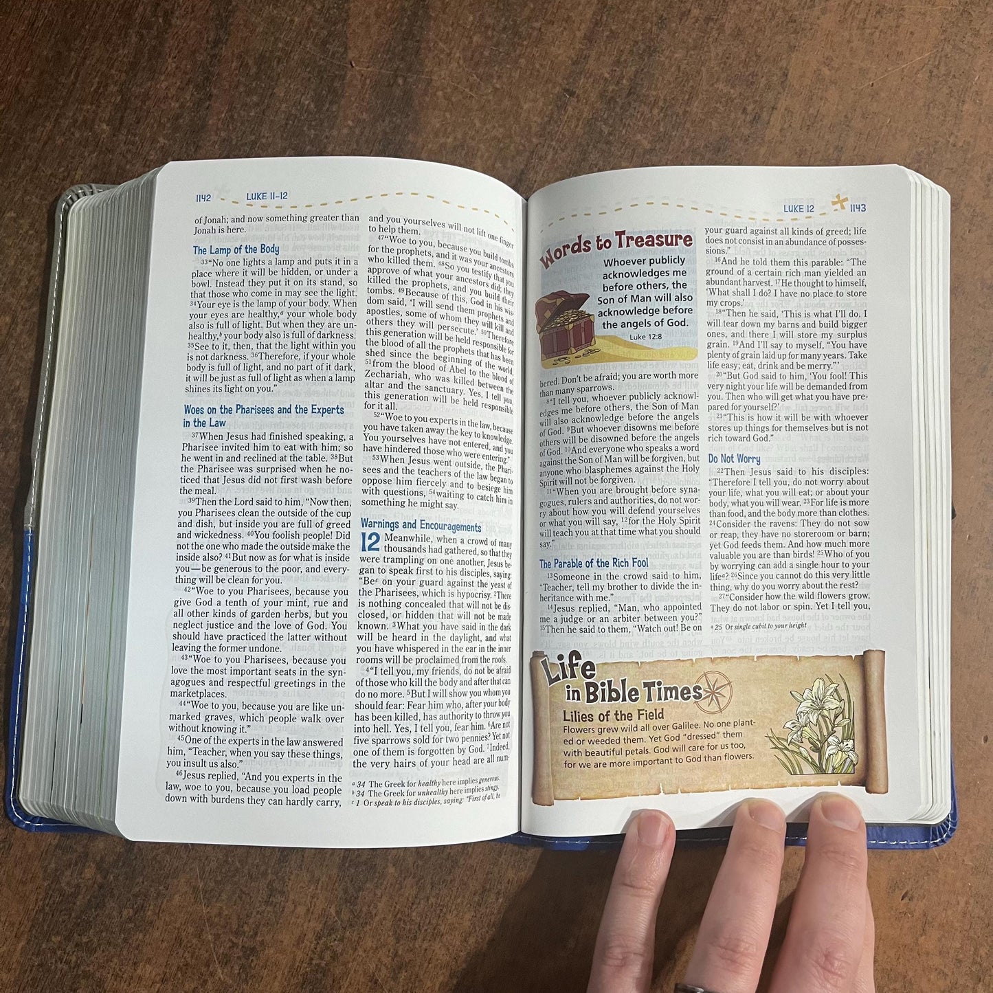 Personalizable NIV Adventure Bible - Gray / Blue Pirate Duotone, Custom Imprinted with name 9780310727538