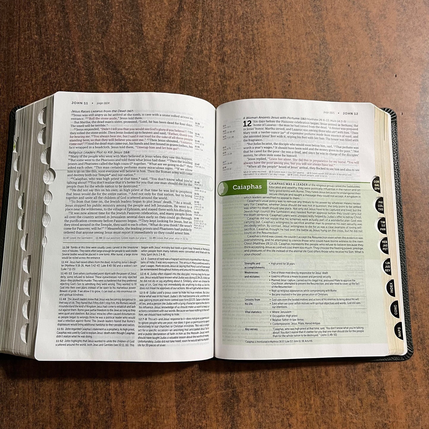 Personalized NLT Life Application Study Bible Thumb Indexed - Olive Green Genuine Leather - Custom Imprinted with a name ISBN 9781496479013