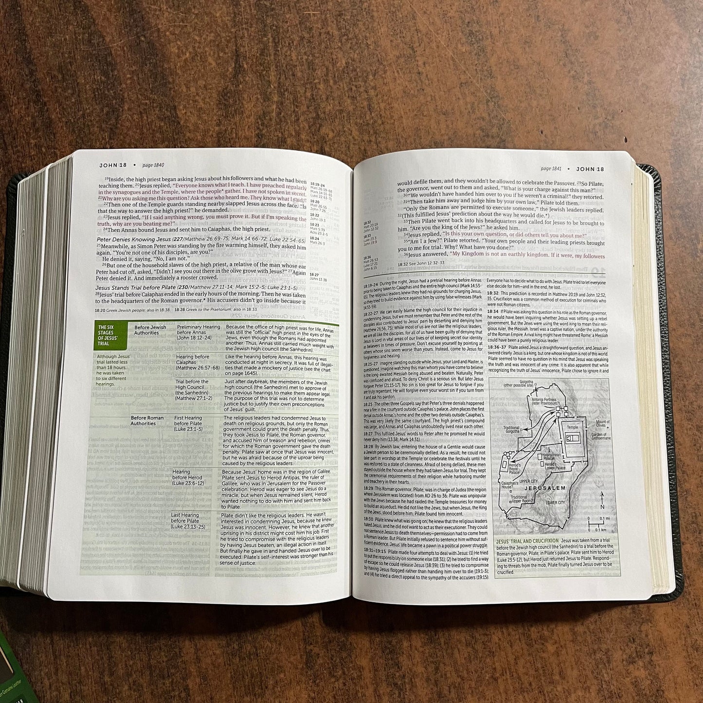 Personalized NLT Life Application Study Bible - Olive Green Genuine Leather - Custom Imprinted with a name 9781496479006