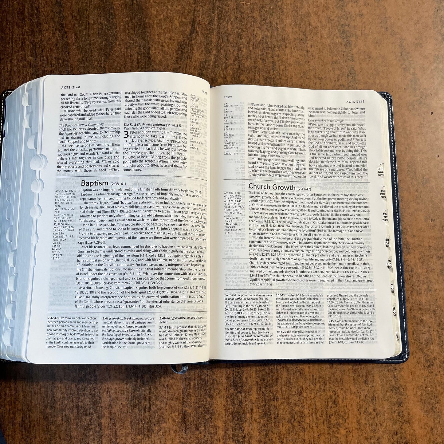 Personalized NLT Study Bible Thumb Indexed - Blue / Brown LeatherLike - Custom Imprinted with a name, ISBN 9781496416698 - Blue Box 16spaces