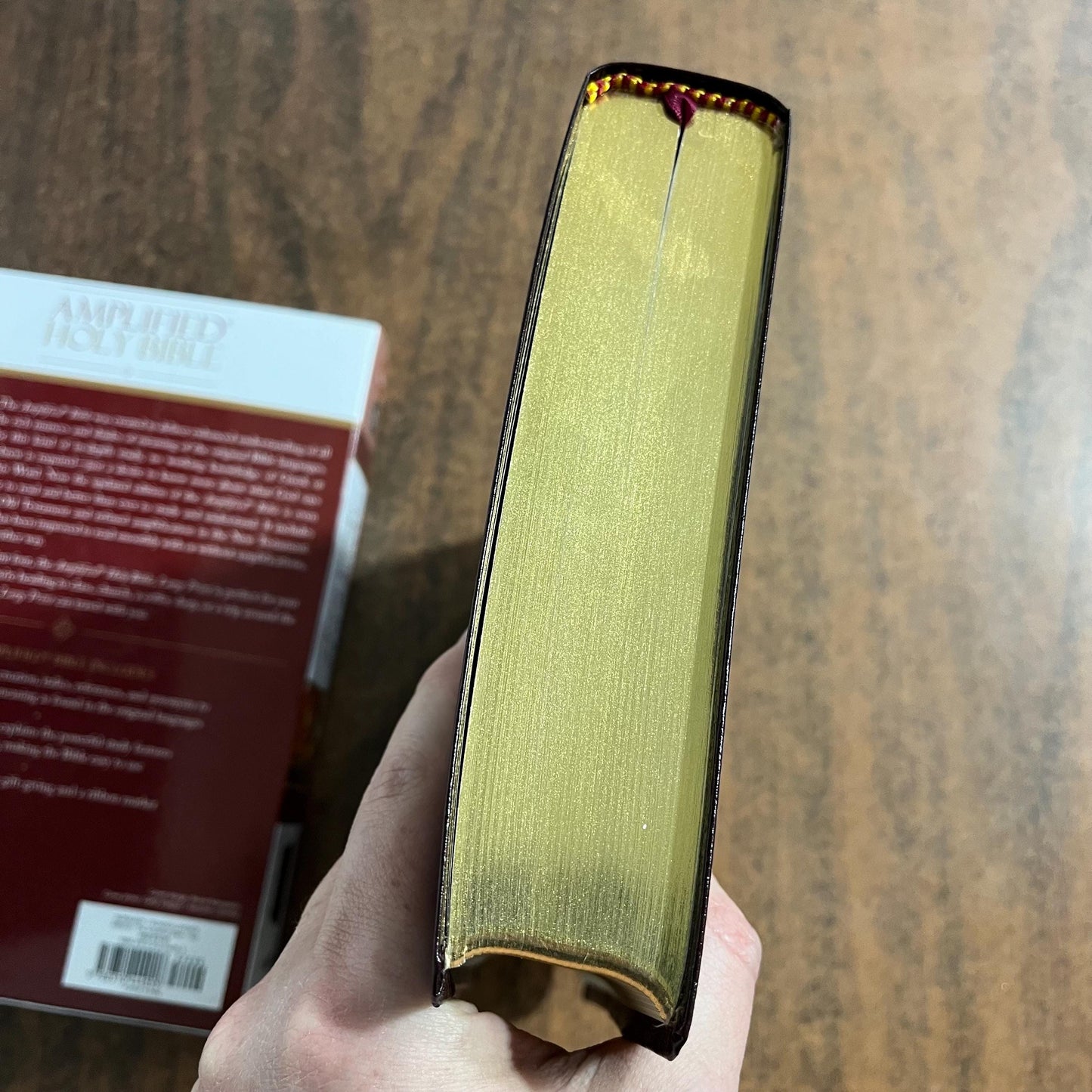 Personalized Amplified Large Print Bible - Burgundy Bonded Leather, custom imprinted with name, 9780310444053