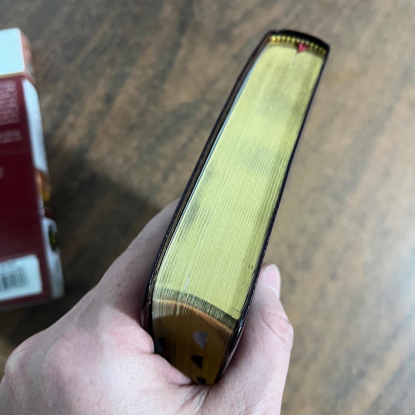 Personalized Amplified Bible Thumb Indexed with book tabs - Burgundy Bonded Leather, custom imprinted with name, 9780310443957