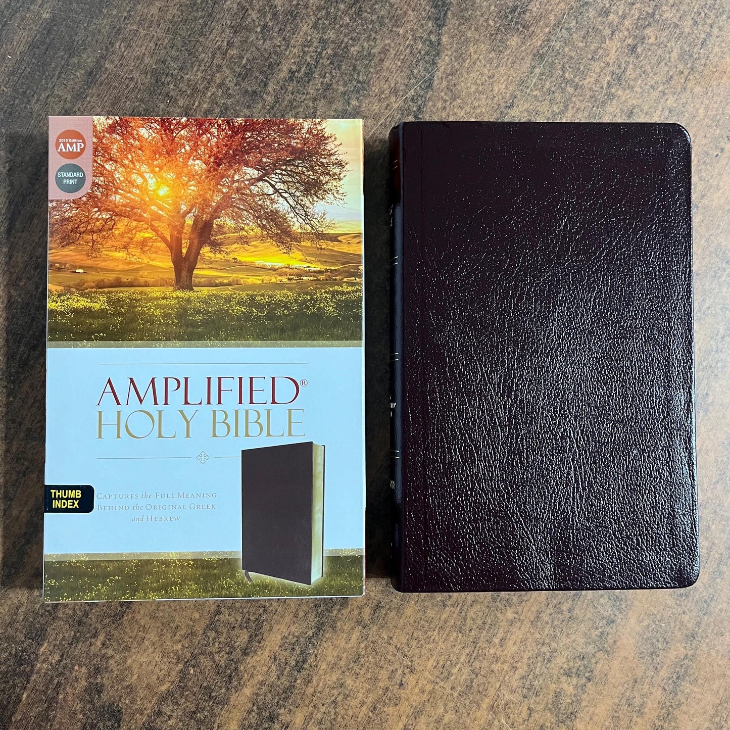 Personalized Amplified Bible Thumb Indexed with book tabs - Burgundy Bonded Leather, custom imprinted with name, 9780310443957