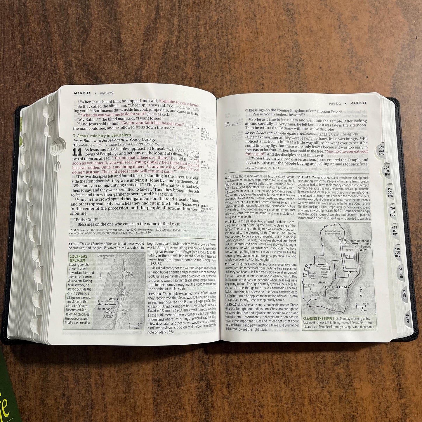 Personalized NLT Large Print Life Application Study Bible Thumb Indexed - Black / Onyx LeatherLike - Custom Imprinted, ISBN 9781496439383