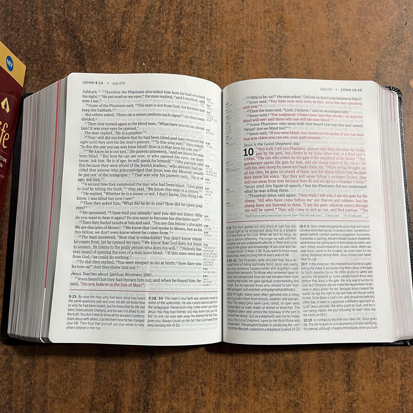 Personalized NIV Large Print Life Application Study Bible - Black Bonded Leather, Custom Imprinted with a name, 9780310452881