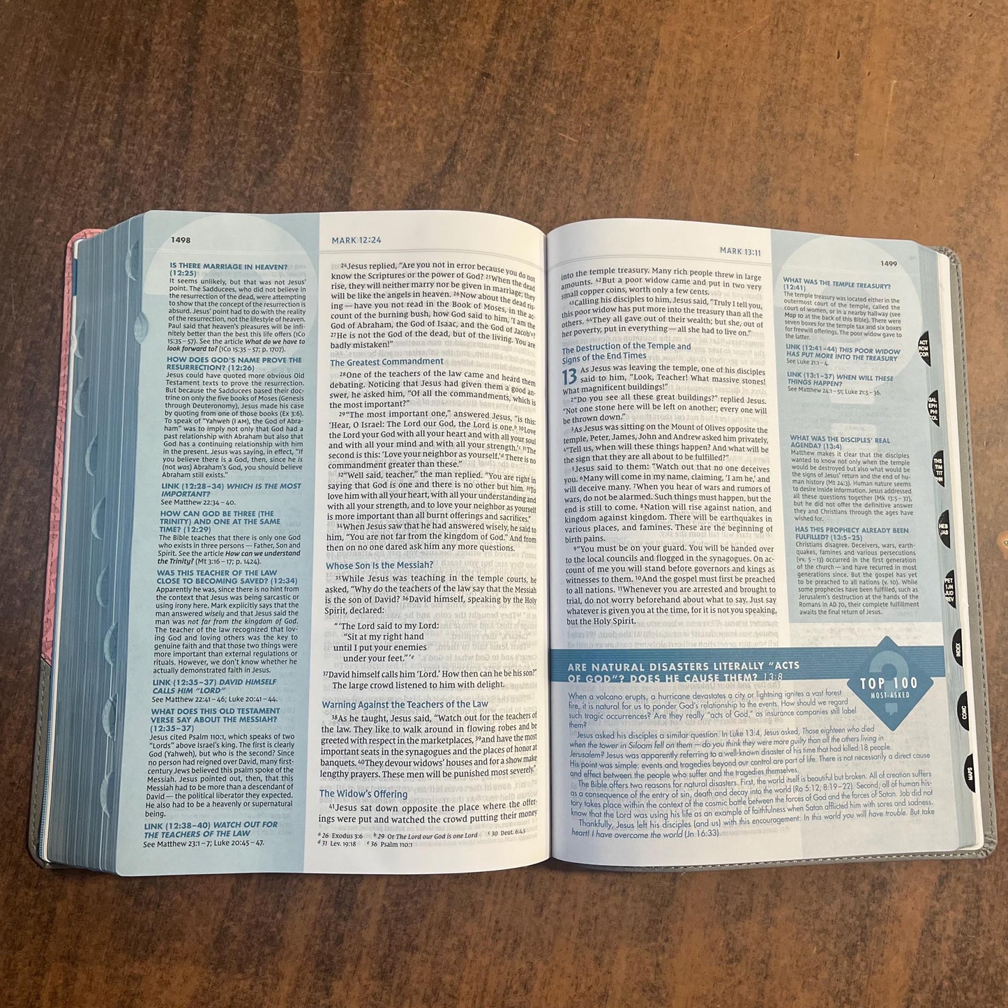 Personalized NIV Large Print Quest Study Bible Thumb Indexed - Gray / Pink LeatherSoft - Custom Imprinted with name, 9780310465983