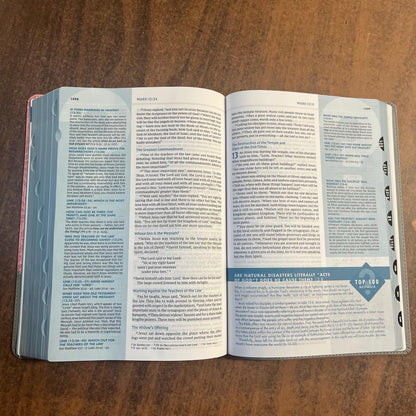 Personalized NIV Large Print Quest Study Bible Thumb Indexed - Gray / Pink LeatherSoft - Custom Imprinted with name, 9780310465983