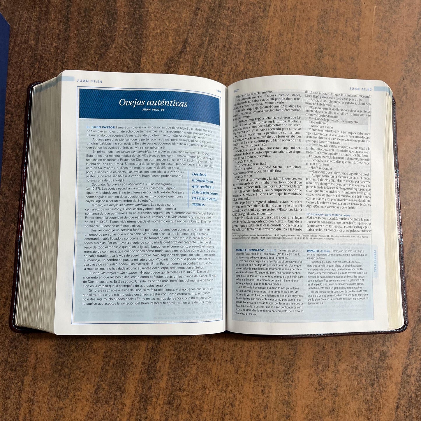 Personalized NTV Spanish Study Bible, Swindoll Biblia De Estudio - Cafe SentiPiel - 9781496438560